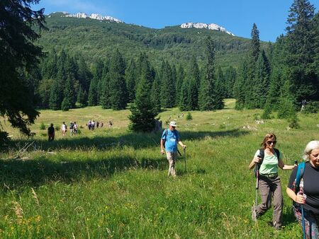 Foto Občina Ilirska Bistrica (1)